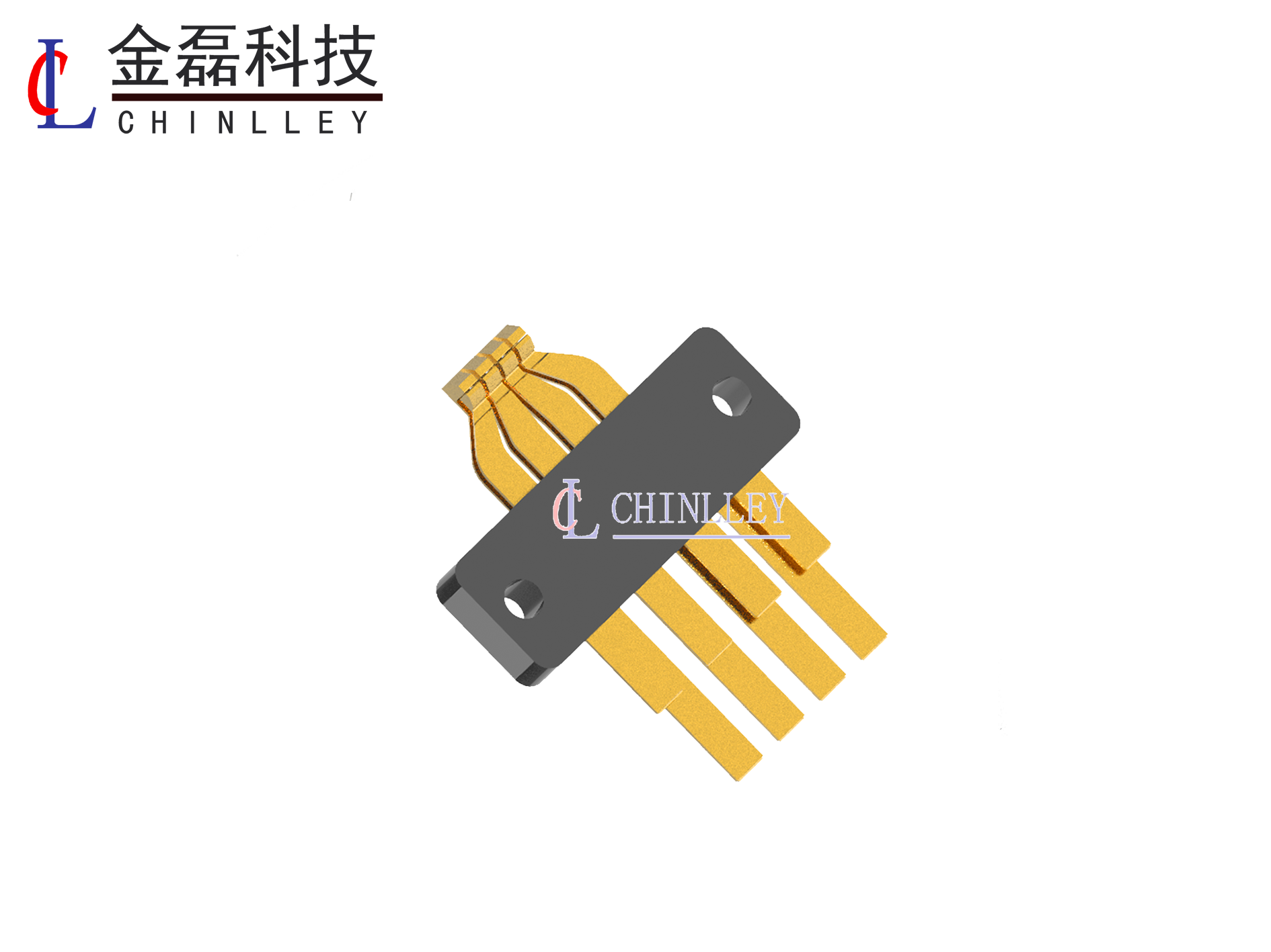 CL010-F12504-C0202300-G